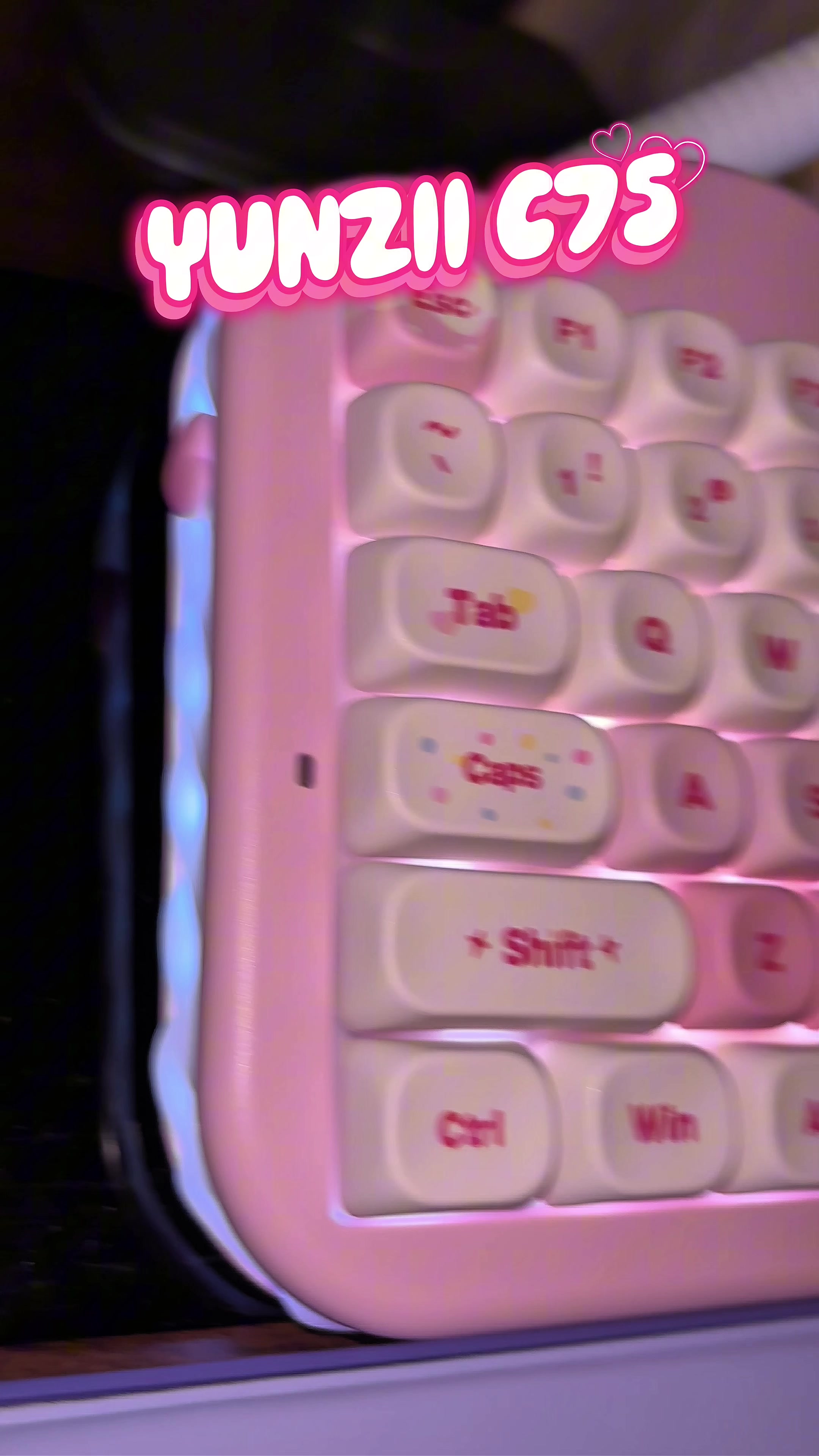 TikTok post by @mikkafromdaboot for YUNZII. Caption reads: [...] wait! She is absolutely stunning! This....