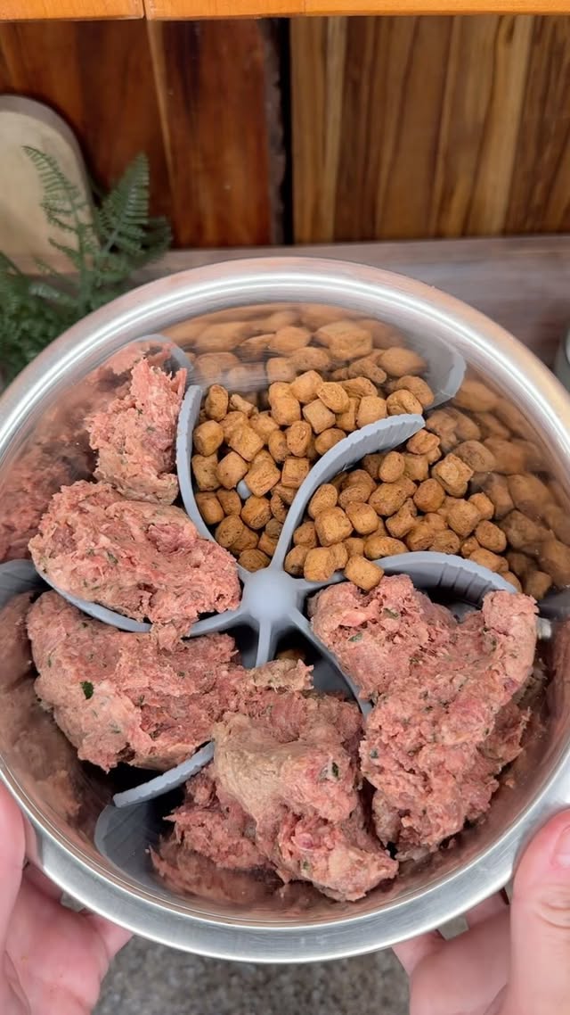 Instagram post by @danesandthings for ZIWI Pet Food. Caption reads: Dinner for Winnie ✌🏻 Keeping my girl strong and....