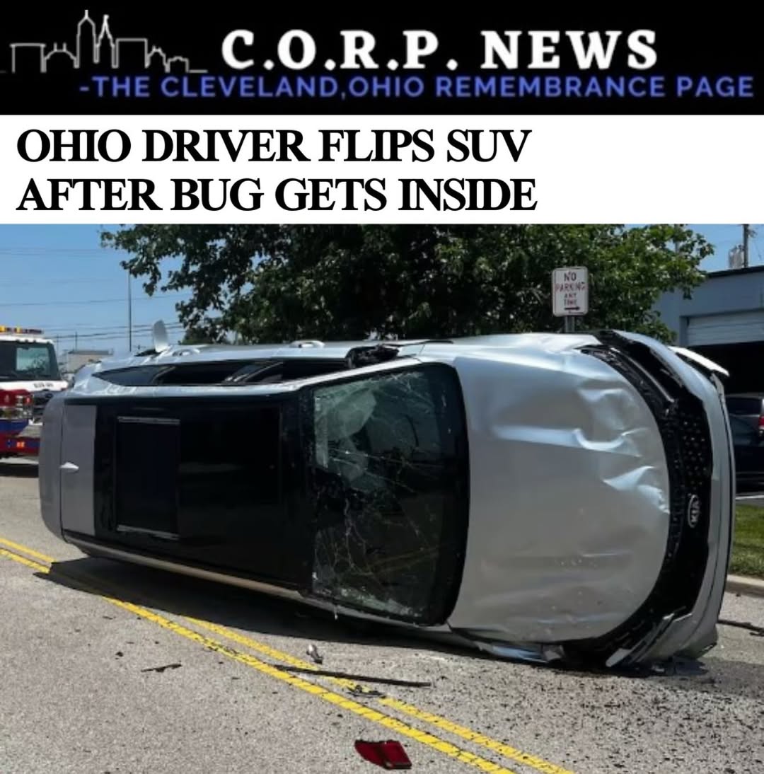 Instagram post by @clevelandremembrance.page for James Helm. Caption reads: #ad Cicadas got people flipping cars now?? 😳 Call....