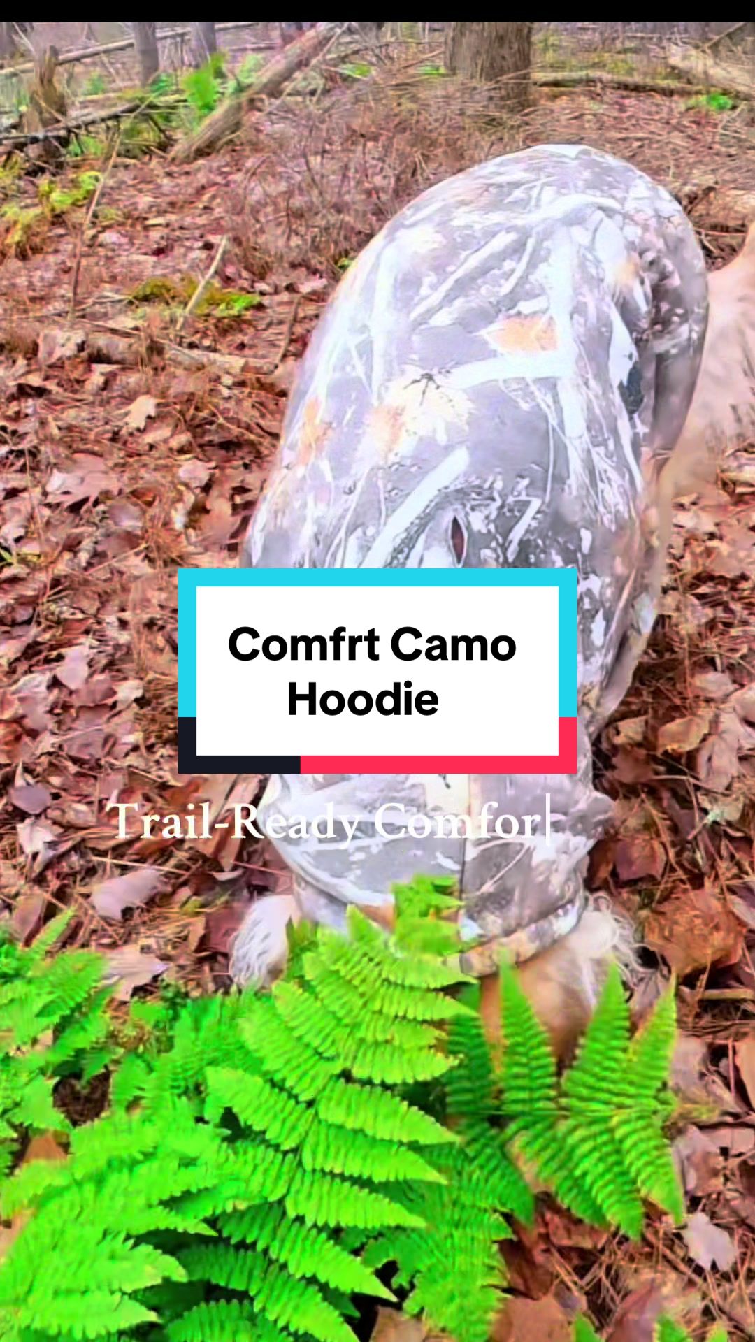 TikTok post by @darcy.world for Comfrt. Caption reads: Trail-tested and Darcy-approved 🐾🍂 Her new....