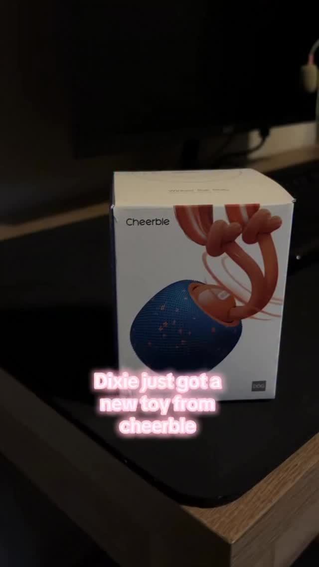 Instagram post by @realityyrat for Cheerble. Caption reads: @cheerble_global #cheerble #wickedballrolly #fyp....