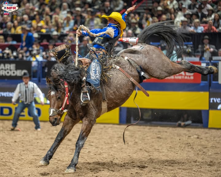 Instagram post by @fsamsin for Resistol. Caption reads: [...] #rodeophotographer #prorodeo #resistol1927....