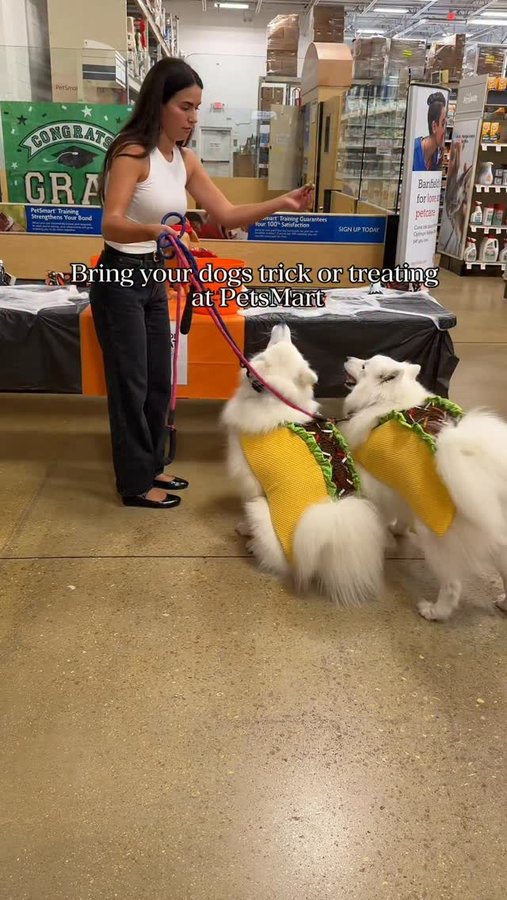 Instagram post by @findit.flipit for PetSmart. Caption reads: @petsmart has FREE trick or treating for your....