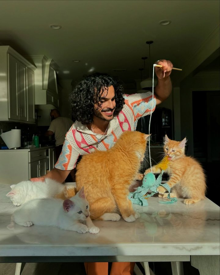 Instagram post by @rayyanshaikhh for Smalls. Caption reads: [...] zoomie mode and mealtime with @smallsforcats....