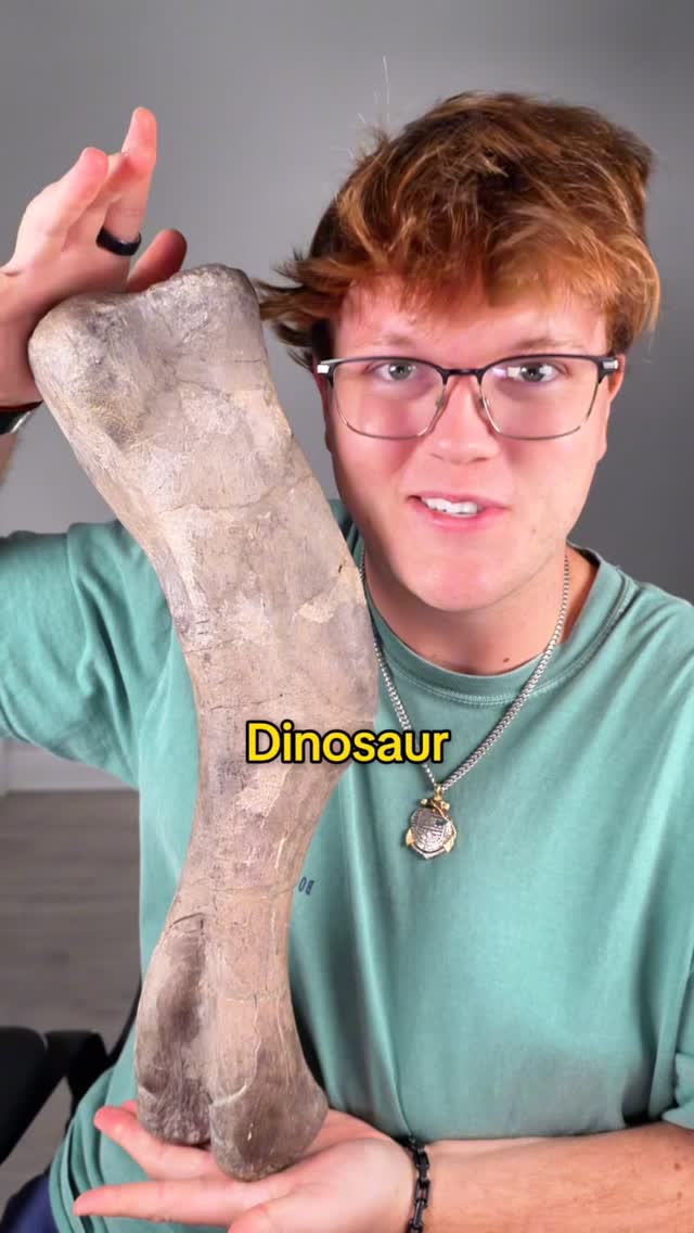 Instagram post by @kylekruegerr for Jurassic World. Caption reads: This is a 70-million-year-old dinosaur bone in my....