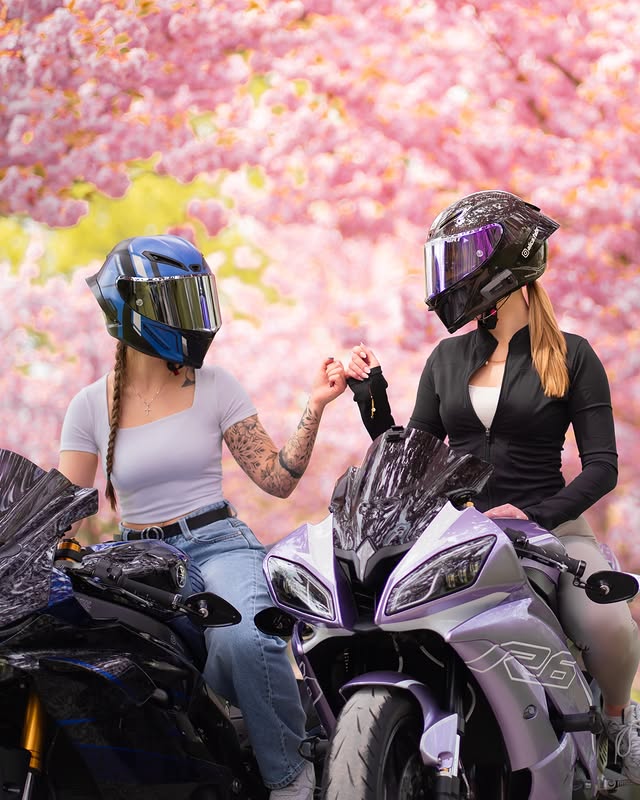 Instagram post by @lurdttrch for Monster Fairings. Caption reads: R6 double trouble🌸 —————— Partner💌....