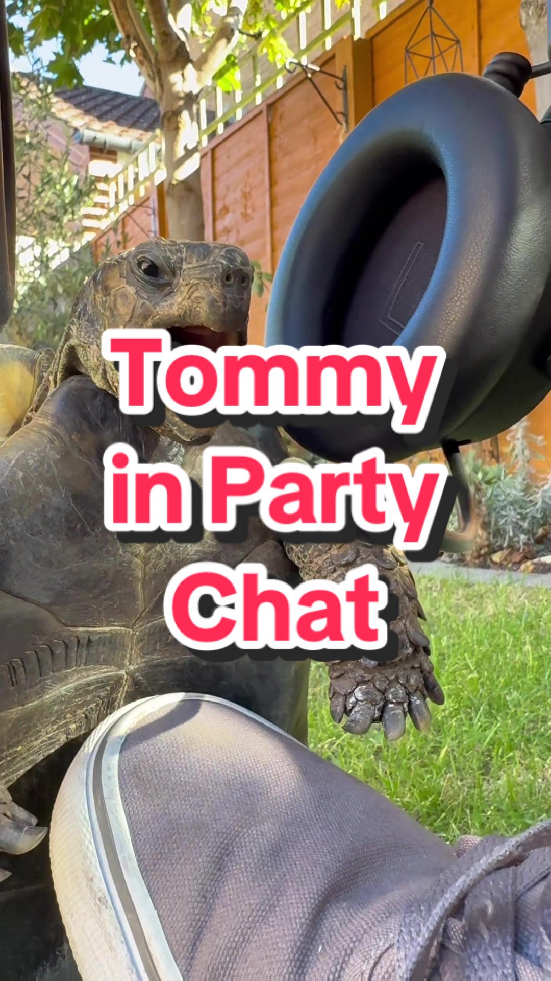 TikTok post by @phatonions for Razer. Caption reads: Tommy in party chat Featuring the @Razer Kraken V4....