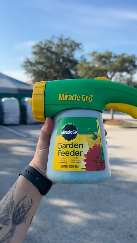 Instagram post by @trinitytropicals for Miracle-Gro. Caption reads: [...] the menu here for my outdoor oasis....