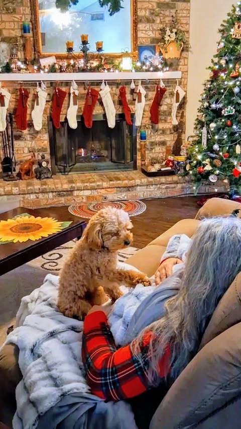 Instagram post by @omasgardens for ZONLIHOME. Caption reads: Garden clean-up had me DONE today 😅

Nothing....