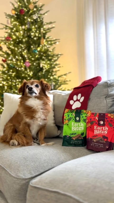 Instagram post by @charlieandcrewmama for Earthborn Holistic Pet Food. Caption reads: #ad Stocking happiness found for Bella 🐕
We are....