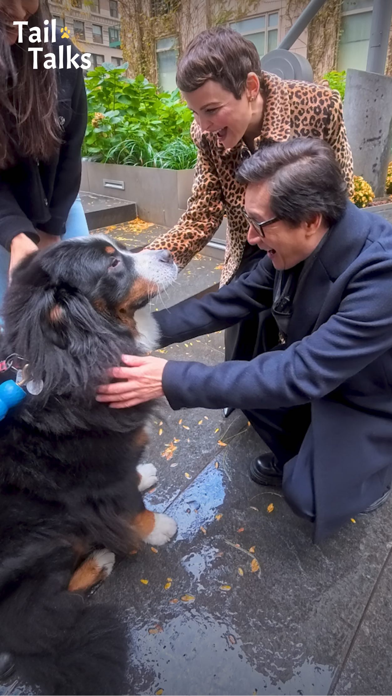 Instagram post by @tailtalksinterviews for Disney Animation. Caption reads: We took the stars of #Zootopia2 @ginnifergoodwin....