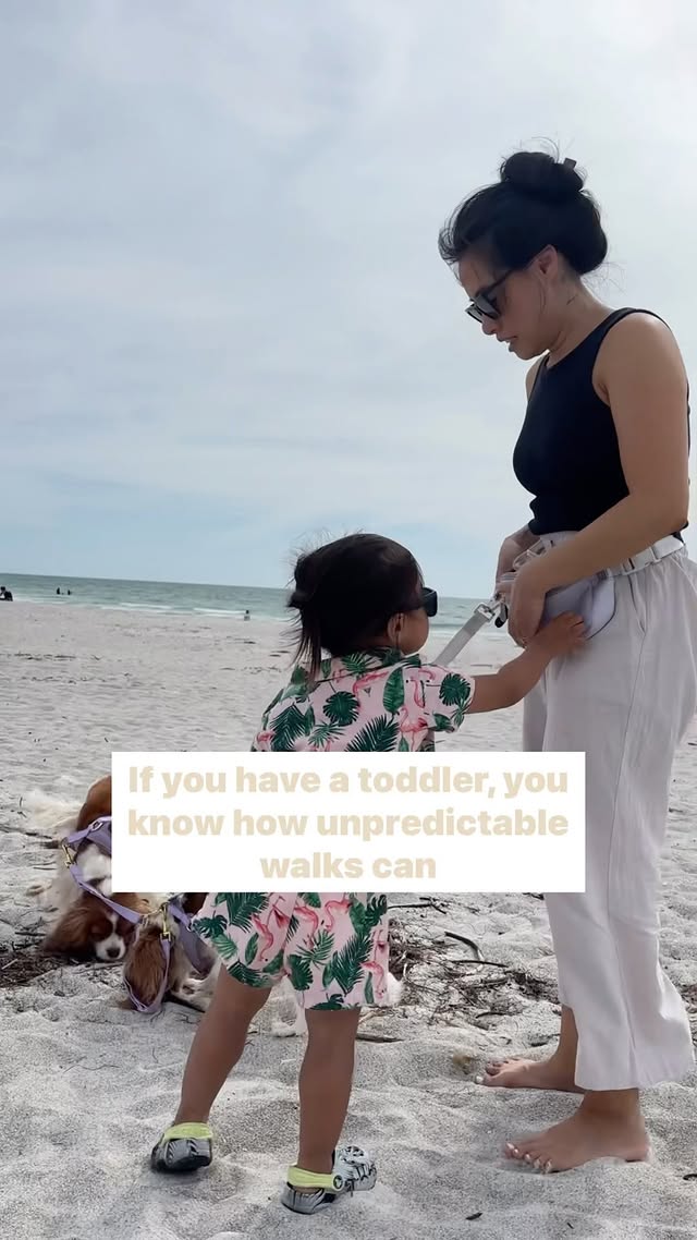 Instagram post by @herkythecavalier for Cavology. Caption reads: [...] my family. New dog walking bag from....