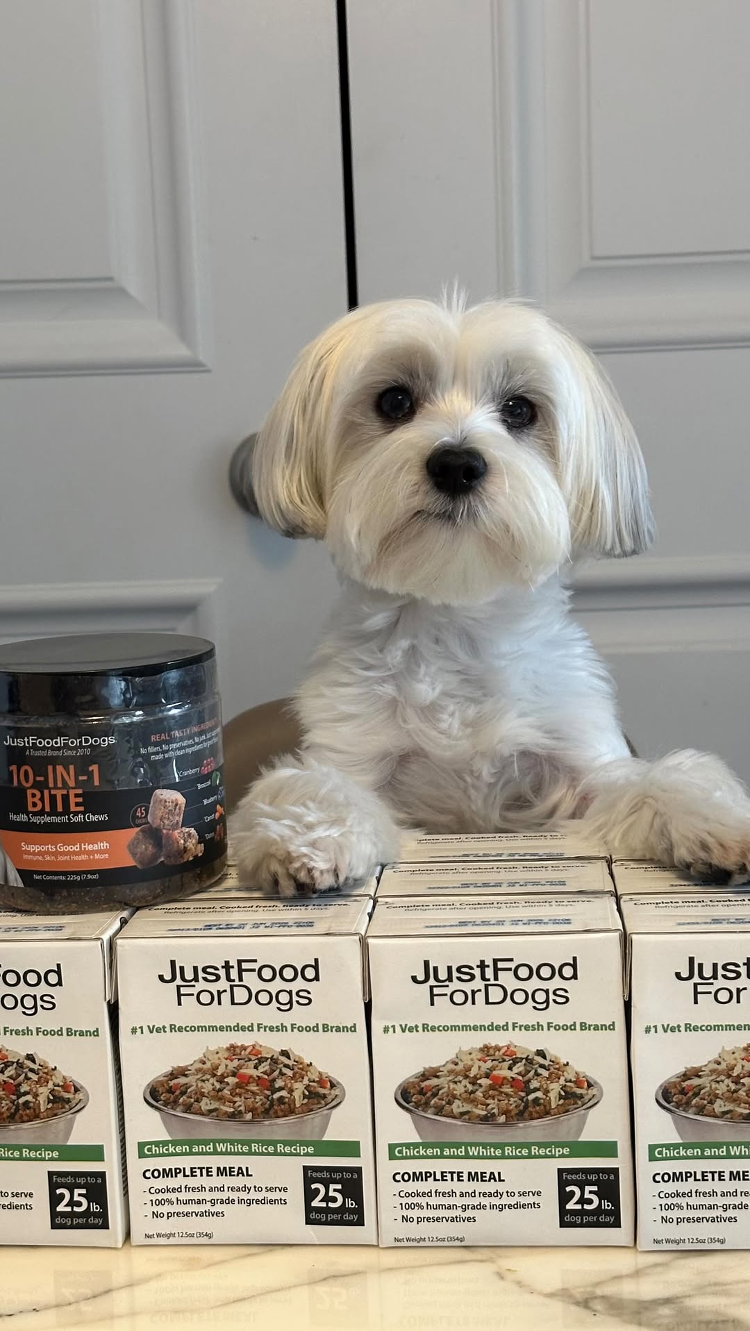 Instagram post by @rockynycmorkie for JustFoodForDogs. Caption reads: Amazon Prime Big Deals Days are here! On Oct 8th....