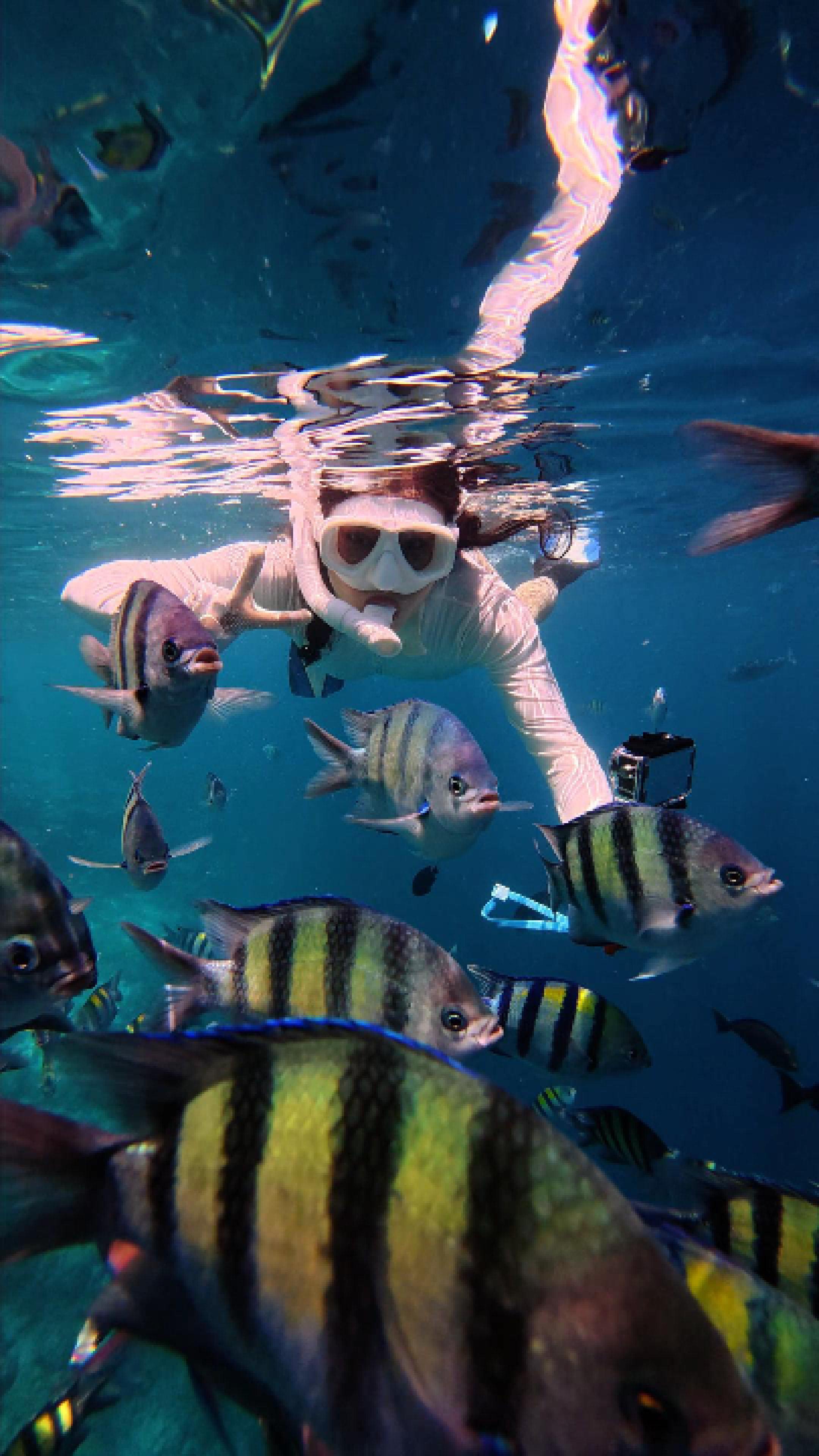 Instagram post by @maldivesinsider for Visit Maldives. Caption reads: Sea you soon? Come join us 🐠

#mykaanimoments....