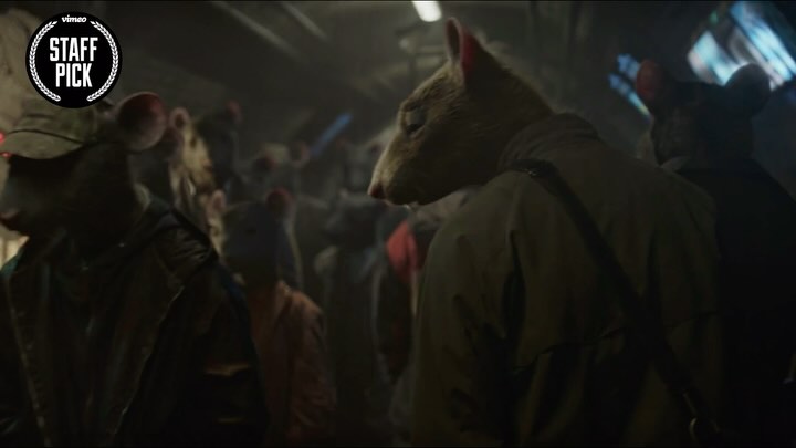 Instagram post by @romain_chassaing for Vimeo. Caption reads: The 🐀s don’t run this city... or do they?....