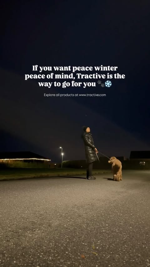 Instagram post by @goodboihermann for Tractive. Caption reads: [...] 🔦🥶

That’s why we’re using the Tractive....