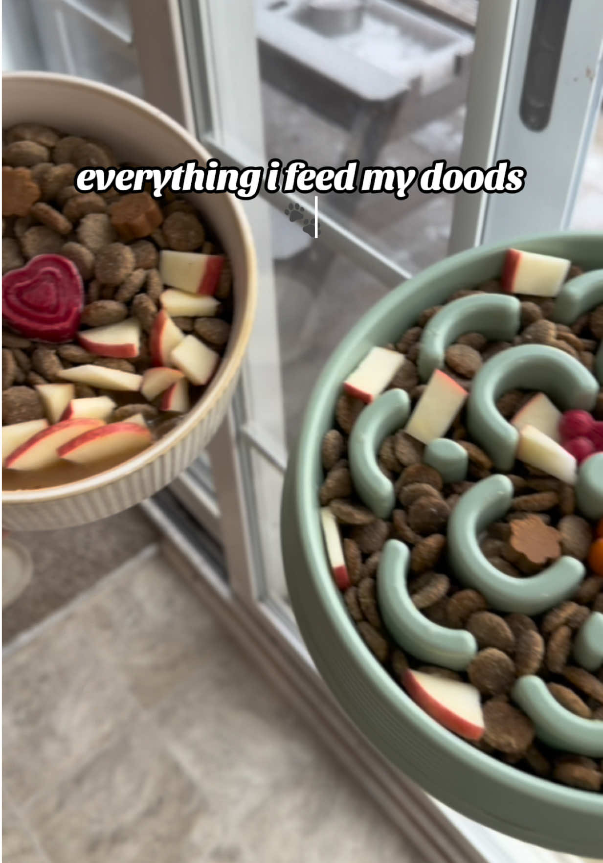 TikTok post by @nigoal_03 for Dog is Human. Caption reads: Quietly making my doodles’ food a little healthier....