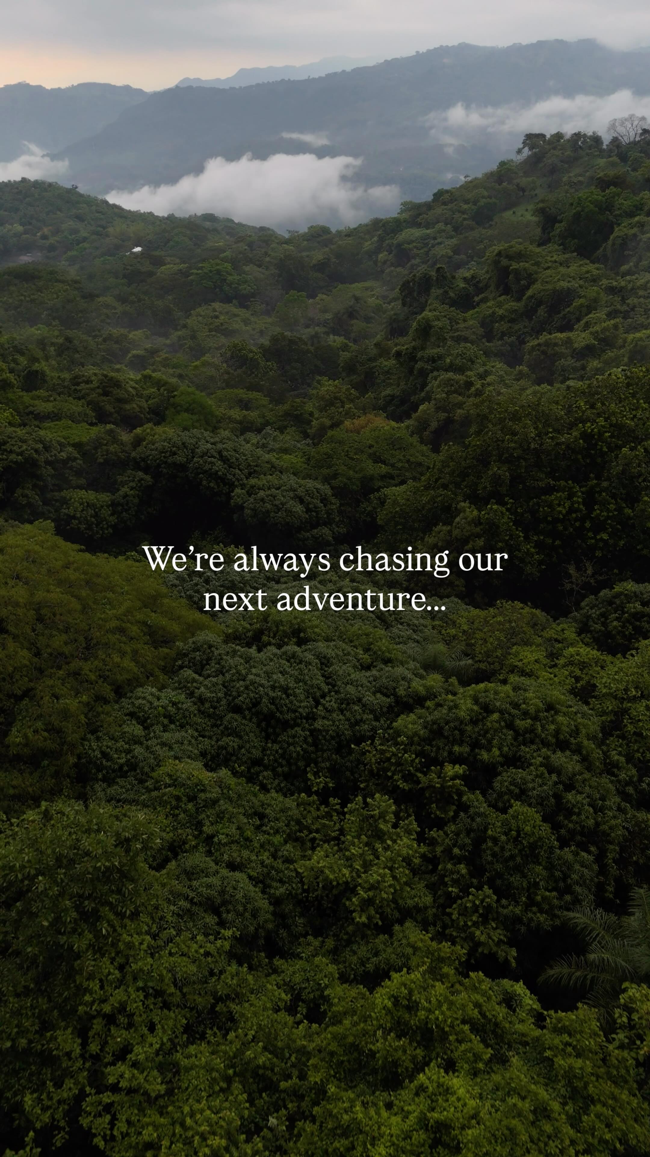 Instagram post by @thewanderdiary for PrettyLitter. Caption reads: Travel is such a huge part of our lives, from....