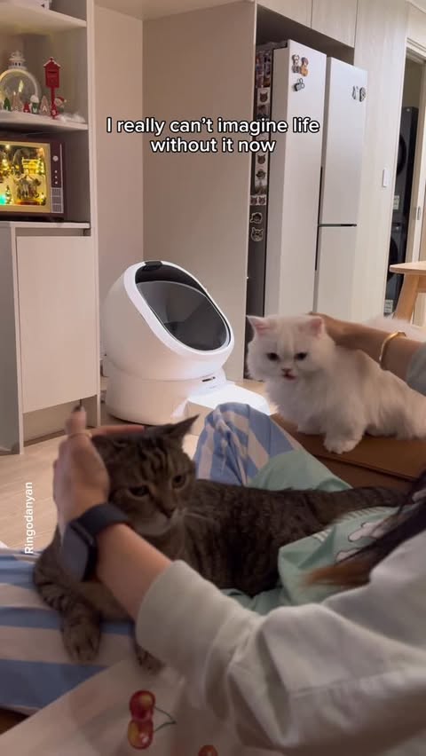 Instagram post by @ringodanyan for Petlibro. Caption reads: Safe, smart, and effortless to clean! 🧼 The....