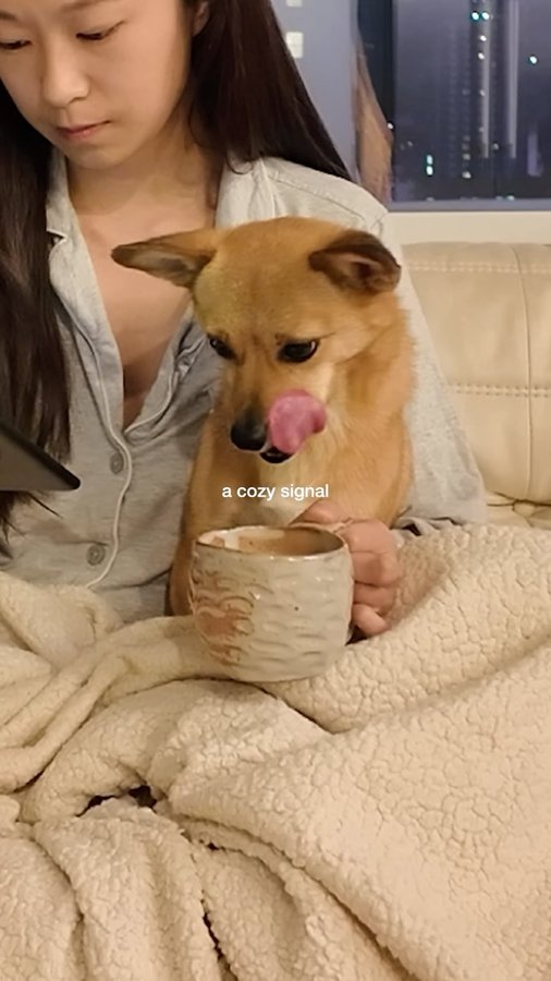 Instagram post by @caitshouse for Brodo. Caption reads: Bone broth for a better night’s sleep 😴☁️

I’ve....