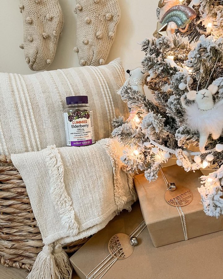 Instagram post by @elishagrasby for Webber Naturals. Caption reads: [...] health this cold & flu season with....