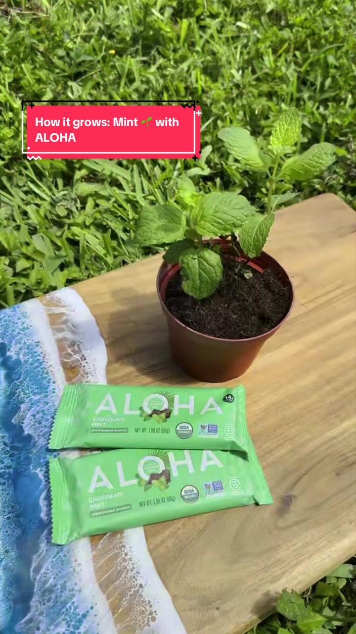 TikTok post by @gray.davis for Aloha. Caption reads: How it grows: Mint 🌱 with @ALOHA #fyp #foryoupage....
