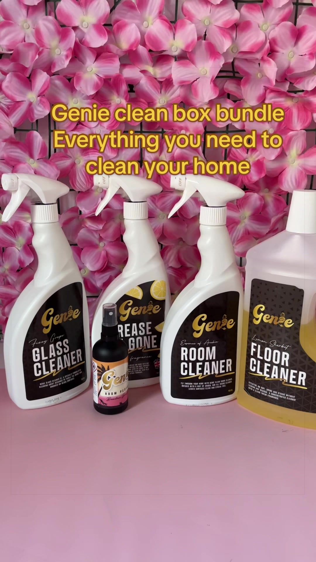 TikTok post by @_vickyann_ for Genie Clean. Caption reads: Genie clean box bundle everything you need to....