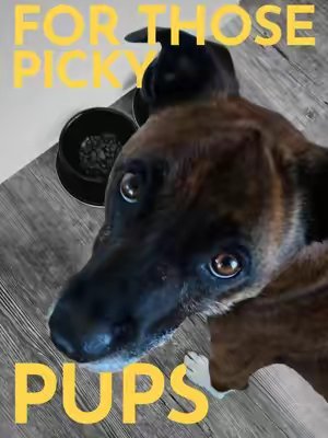 TikTok post by @thepainfreepettrainer for Pupford. Caption reads: [...] with LOVE this stuff! #ad #sponsored....