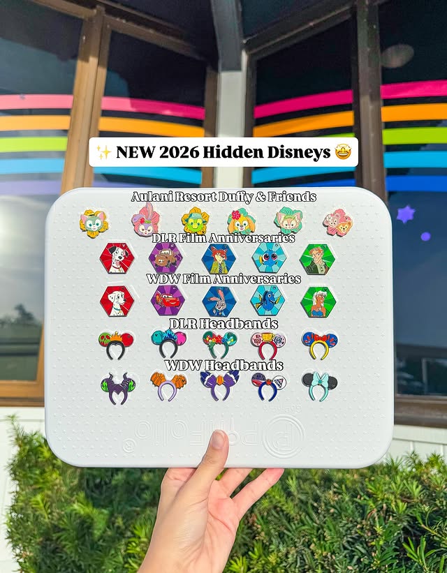 Instagram post by @summmerlyyy for Disneyland. Caption reads: [...] pins dropping at Walt Disney World and....