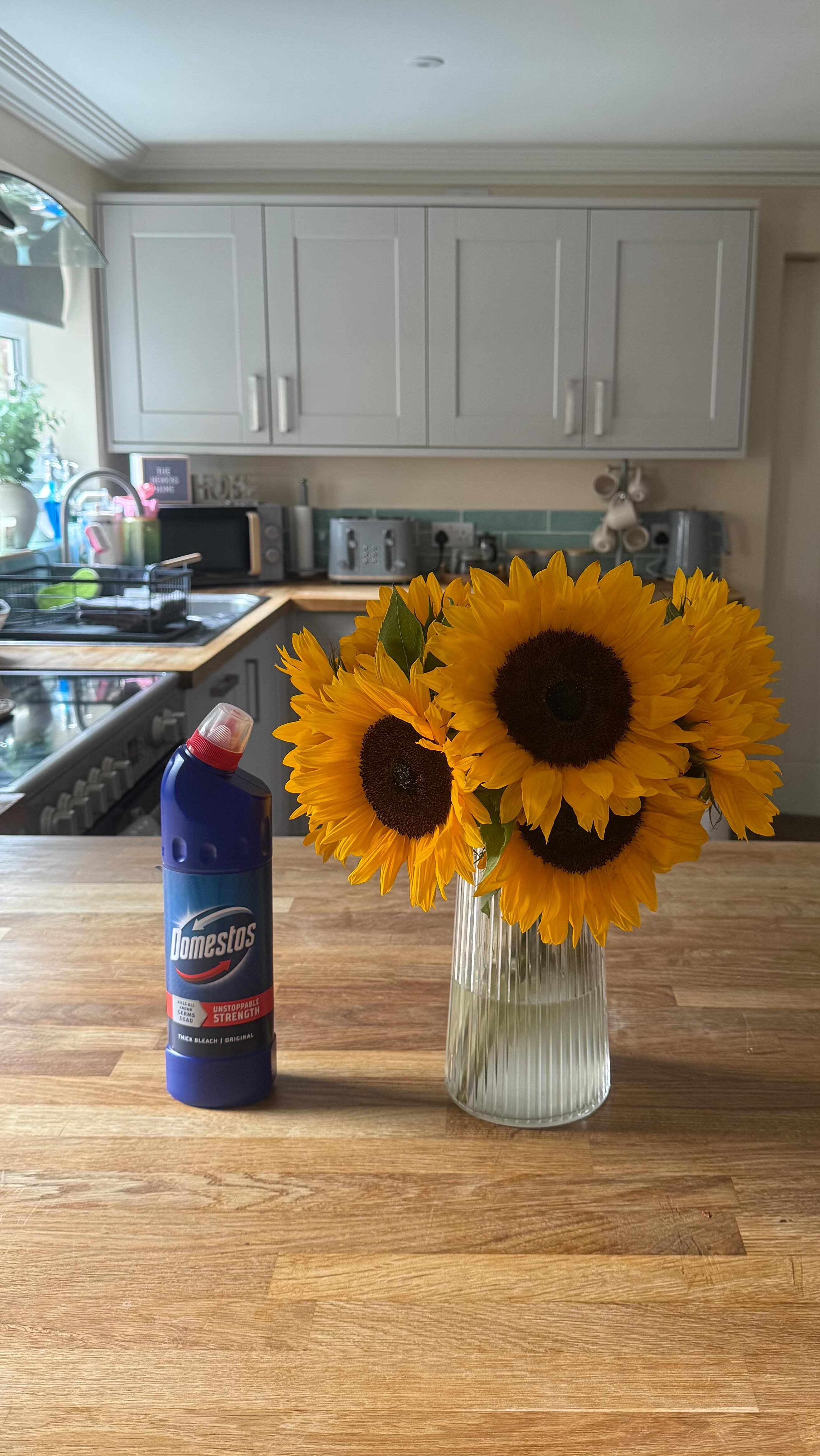 Instagram post by @maria_hewicks_home for Domestos. Caption reads: AD. London has turned Blue for Domestos and I....