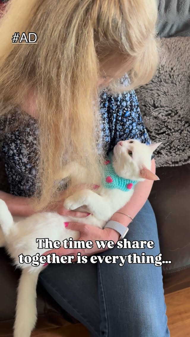 Instagram post by @prideofkittycats for Wellness Pet Food. Caption reads: They count on me, and I count on Wellness....