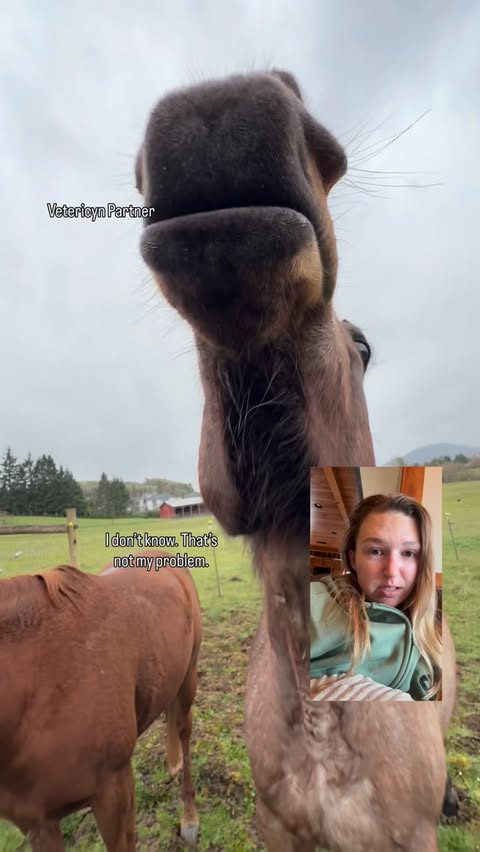 Instagram post by @doublezfarm for Vetericyn. Caption reads: [...] horse FaceTimes me to tell me he needs....