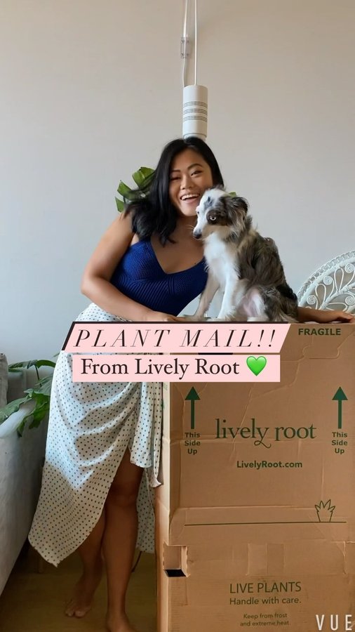 Instagram post by @siloliage for Lively Root. Caption reads: 💚 PLANT MAIL 💚 from @livelyroot to remind me of....
