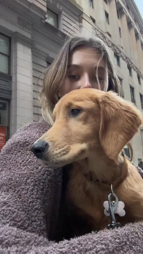 Instagram post by @ellarosemcfadin for The Farmer's Dog. Caption reads: [...] Feeding her fresh food from @thefarmersdog....