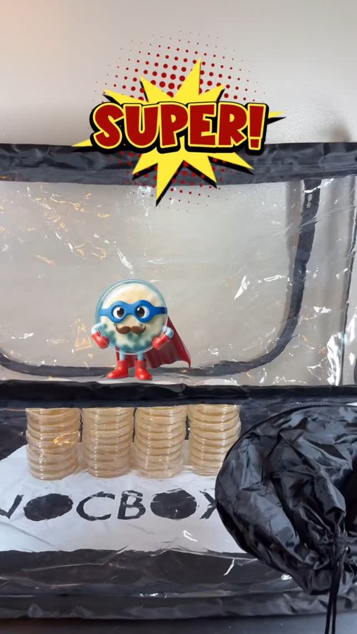 Instagram post by @sporensprout for North Spore. Caption reads: [...] Nutrient Agar Plates for Mycology....