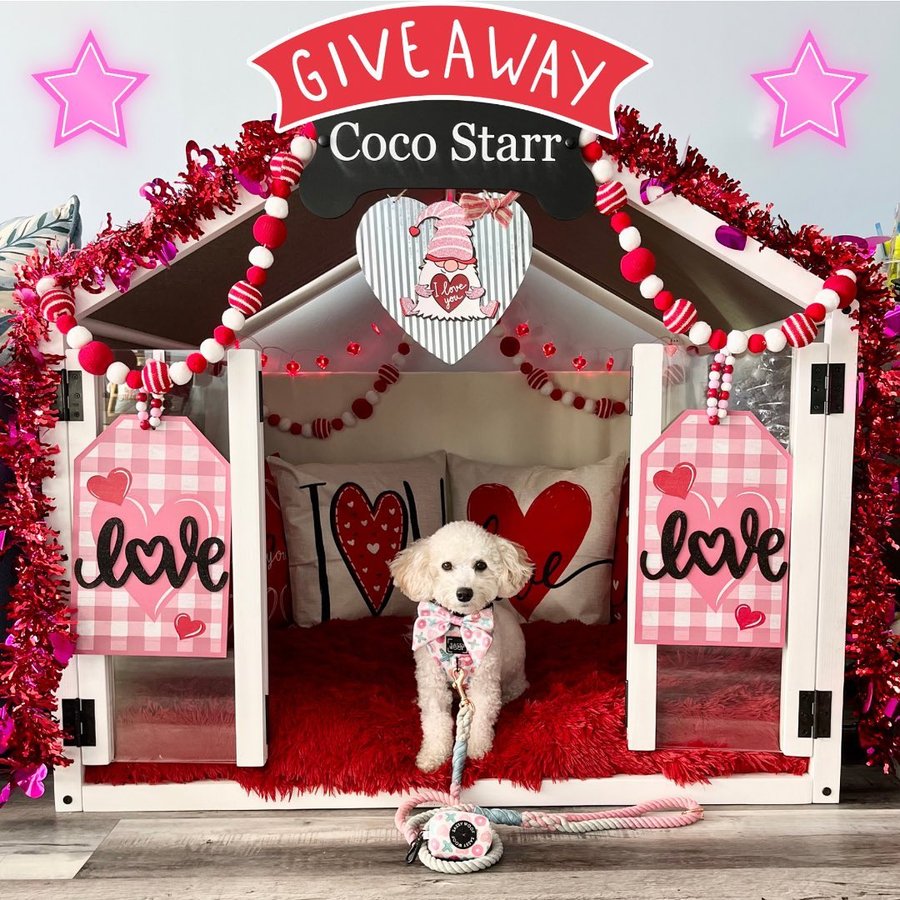 Instagram post by @lil_coco_starr for – Wlo Store. Caption reads: 💝💝💝 GIVEAWAY💝💝💝💝

❌❌❌❌❌CLOSED❌❌❌❌❌

Use....