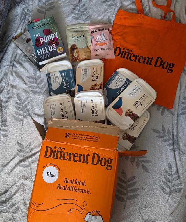 Instagram post by @all_books_great_and_small for Different Dog. Caption reads: 🧡🐶🥣 DIFFERENT DOG 🥣🐶🧡. . . AD. PR. Blues....