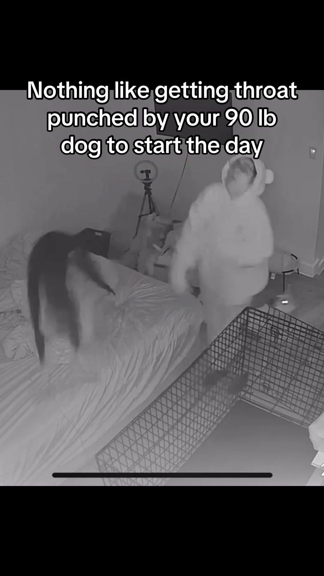 TikTok post by @dabzndawgz for Wyze. Caption reads: [...] 2 so I can afford to fix my trachea 🤣 @Wyze....