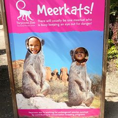 Instagram post by @newmumonline for Channel Mum. Caption reads: #ad So we had an amazing day at @twycrosszoo and....