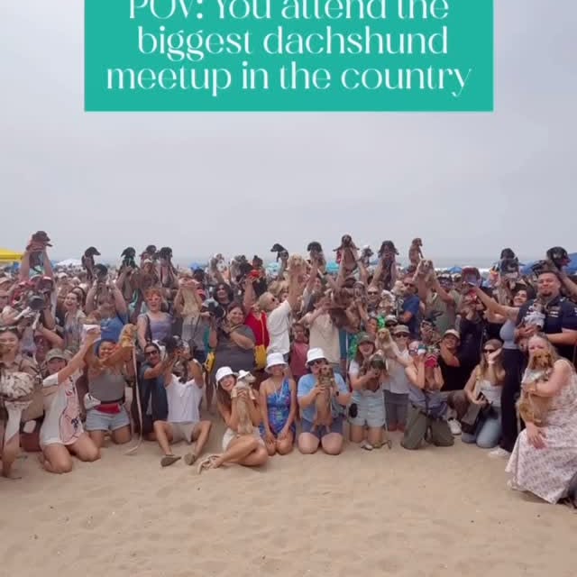 Instagram post by @socalwienerfest for Sassy Woof. Caption reads: ⊹ how many wieners do you think attended....