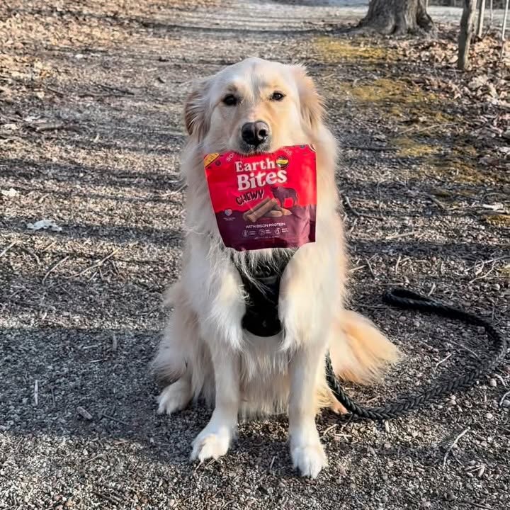 Instagram post by @charlies.castle for Earthborn Holistic Pet Food. Caption reads: Celebrating Earth Day with Simba,....