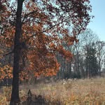 Instagram post by @hasleypitman for Donna Karan. Caption reads: [...] Cashmere & Vanilla essence from the....