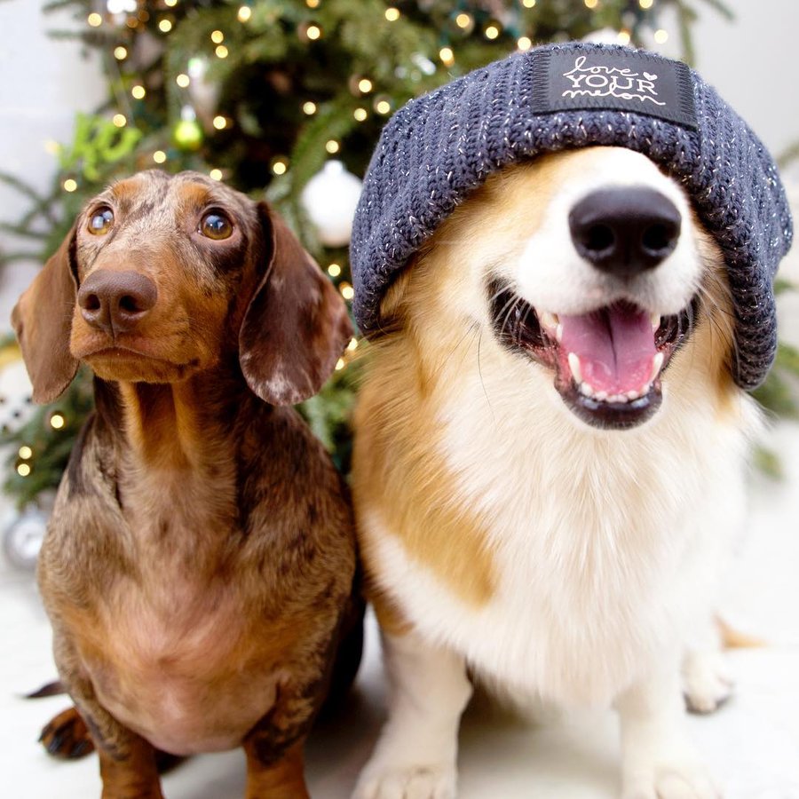 Instagram post by @thedapple_ for Love Your Melon. Caption reads: [...] we’re gifting our friends and family....