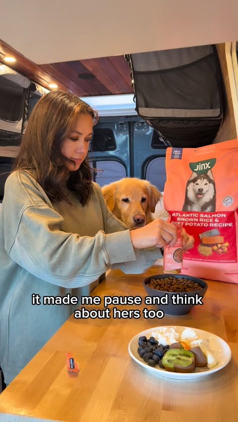 Instagram post by @annnsvan for Jinx. Caption reads: I decided to start a reset with my health and....