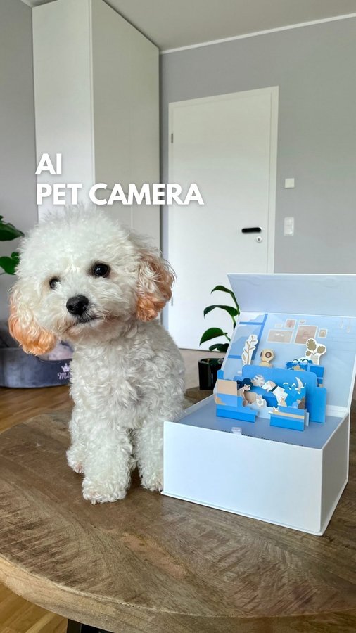 Instagram post by @mia.mini.maltipoo for Siipet. Caption reads: [...] Pet Behavior Analysis Camera 📸....