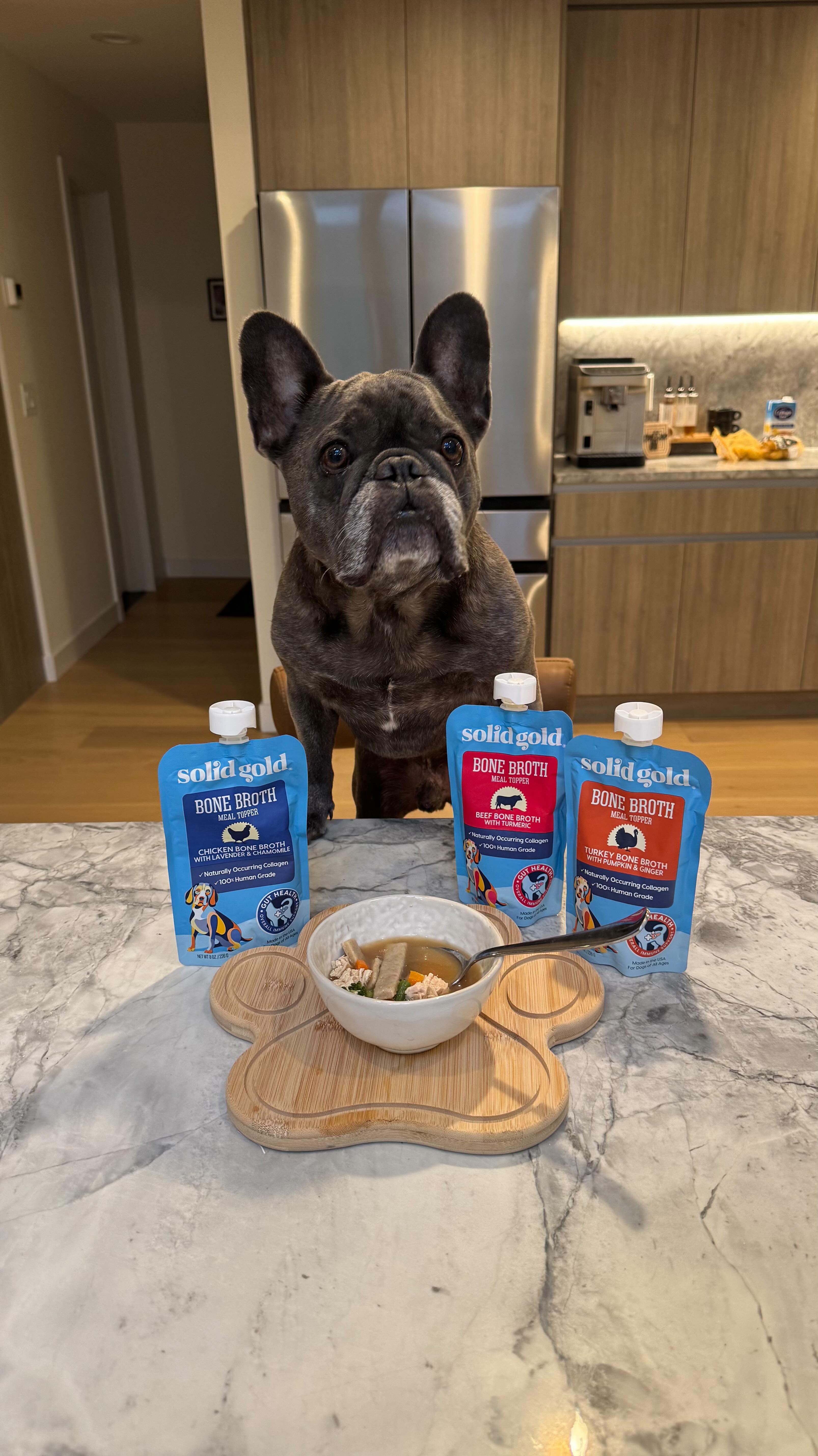 Instagram post by an influencer for Solid Gold Pet. Caption reads: [...] Soup for Dogs 🍲🐶 We used @solidgoldpets....