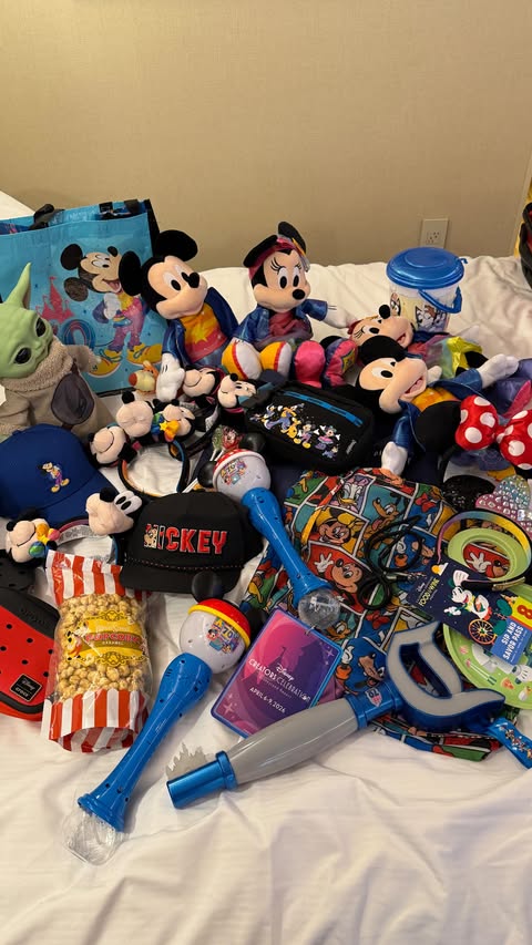 Instagram post by @karinagarc1a for Disneyland. Caption reads: [...] forever 💫🏰 Thank you @disneyparks....