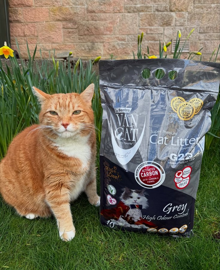 Instagram post by @toasty_and_rascal for VanCatUK. Caption reads: [...] 

Rascal knows when it’s our @vancatuk....