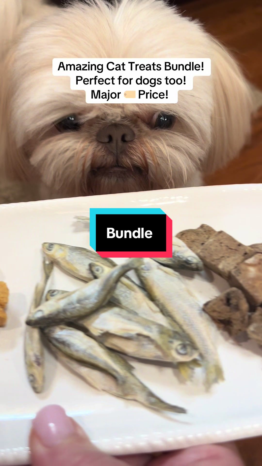TikTok post by @charlietheshitzu0 for King Lou. Caption reads: Love this bundle from @King Lou such a great deal....