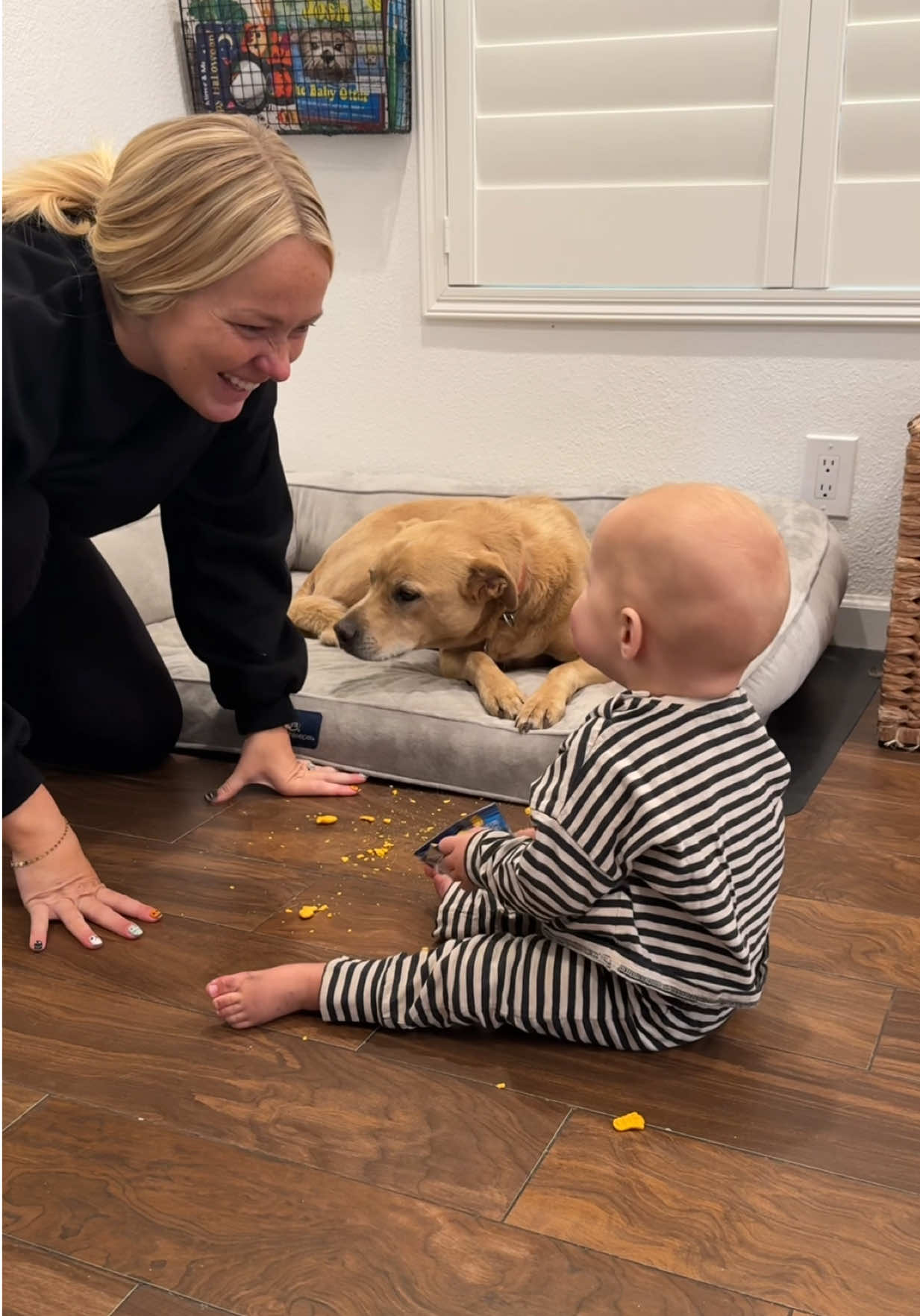 TikTok post by @kadynsmithsmith for Eureka. Caption reads: Our floors have never looked better thanks to the....